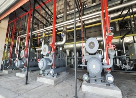 YANTAI MOON VIỆT NAM - NHÀ CUNG CẤP THIẾT BỊ LẠNH CÔNG NGHIỆP